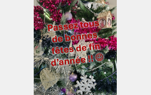 Passez de Bonnes Fêtes!!