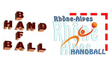 BAFA animations sportives autour du handball 2014