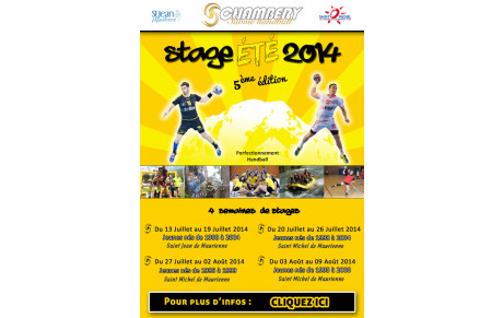 Stage Perfectionnement Handball CSH