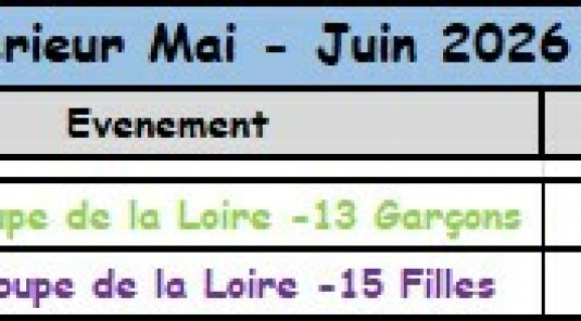 Finale Coupe de la Loire -13G et -15F Samedi 20 Juin 13H30 et 15H Gymnase Jean Gachet ST ETIENNE